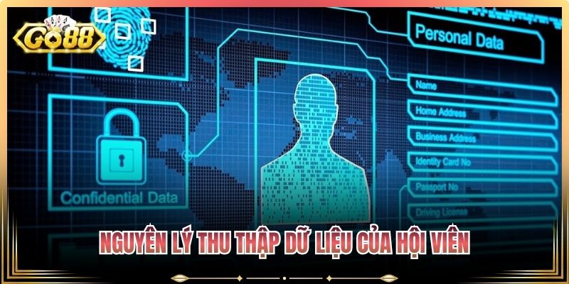 Nguyên lý thu thập dữ liệu của hội viên
