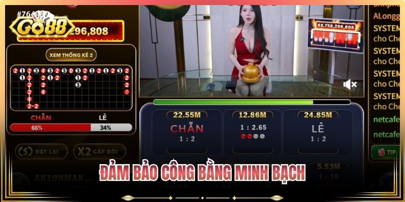 Đảm bảo công bằng minh bạch